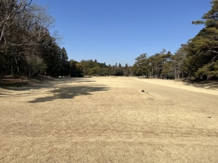 タイトルが入ります。