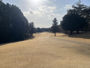 タイトルが入ります。