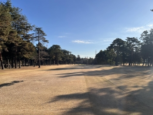 タイトルが入ります。