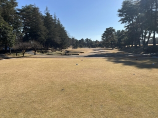 タイトルが入ります。