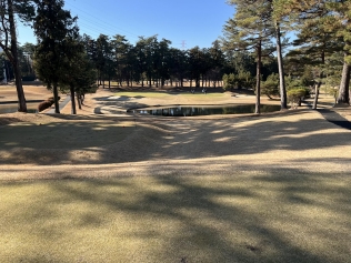 タイトルが入ります。