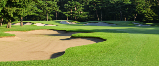 武蔵カントリークラブ(豊岡C・笹井C)