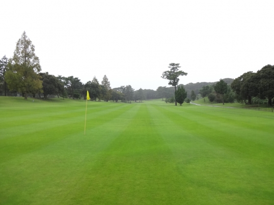 国際桜ゴルフ倶楽部