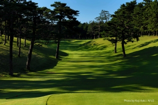 タイトルが入ります。