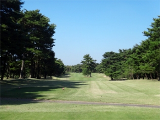 タイトルが入ります。